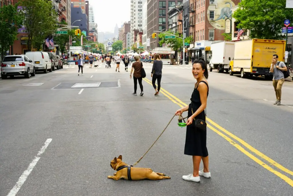 Woman walking dog on leash during city street festival or event.